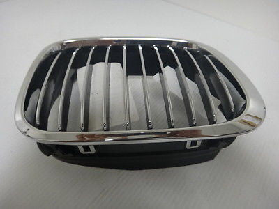 OE Replacement BMW Passenger Side Grille Assembly (V21014R)